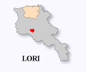 Lori